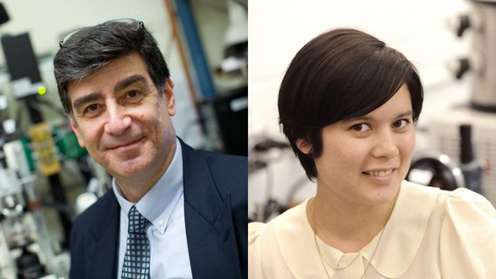 Professors Ateshian and Myers, Columbia University School of Engineering and Applied Science