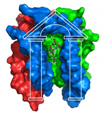 Structure of Diacylglycerol Kinase