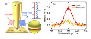 Tip-enhanced second harmonic generation