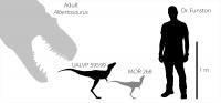 Tyrannosaur silhouette