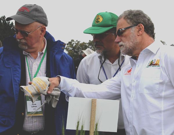 Kumarse Navarro, Cornell University