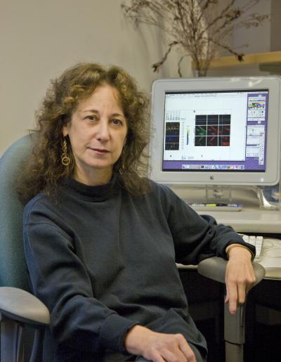 Judith Campisi,   	 DOE/Lawrence Berkeley National Laboratory