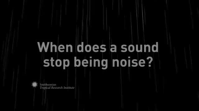 When Does a Sound Stop Being Noise?