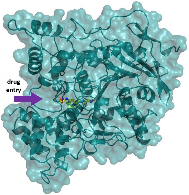 Biochemistry -- Chasing the Antidote