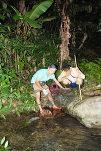 Trapping four-eyed turtles in Pu Mat National Park, central Vietnam