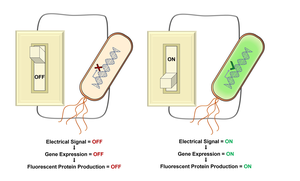 Illustration of process