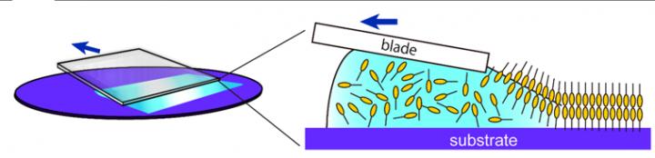 Artist's Rpresentation of the Blade Coating Solution Process to Produce Single Molecular Bilayer Thi