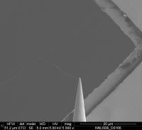 Nanotube-grabbing "Finger"