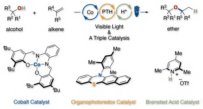Triple catalysis enables quick hydroalkoxylation of alkenes