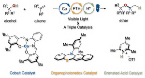 Triple catalysis enables quick hydroalkoxylation of alkenes