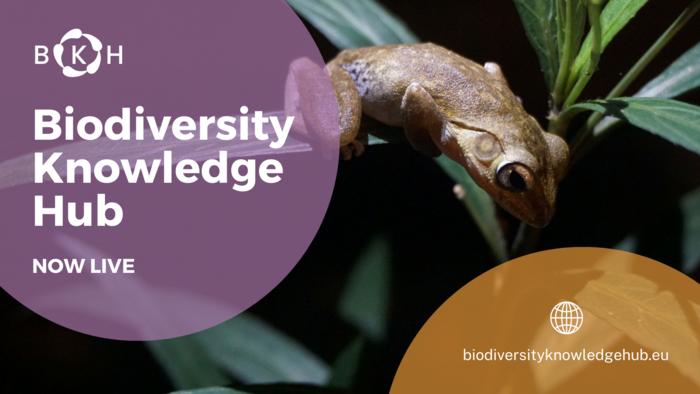 Biodiversity Knowledge Hub now live
