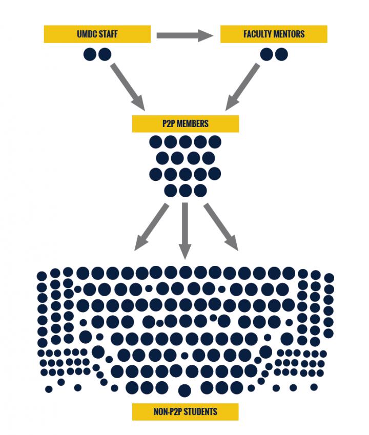 Peer-to-Peer Depression Awareness Program Model