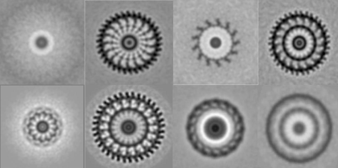 Stator Images
