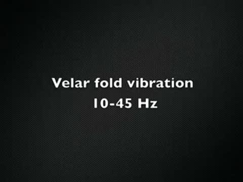 Velar Fold Vibration