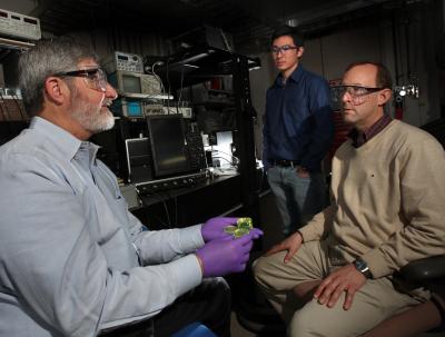 Sandia Researchers and SSD