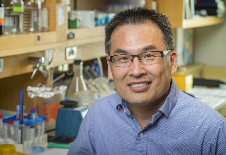 Hengbin Wang, University of Alabama at Birmingham 