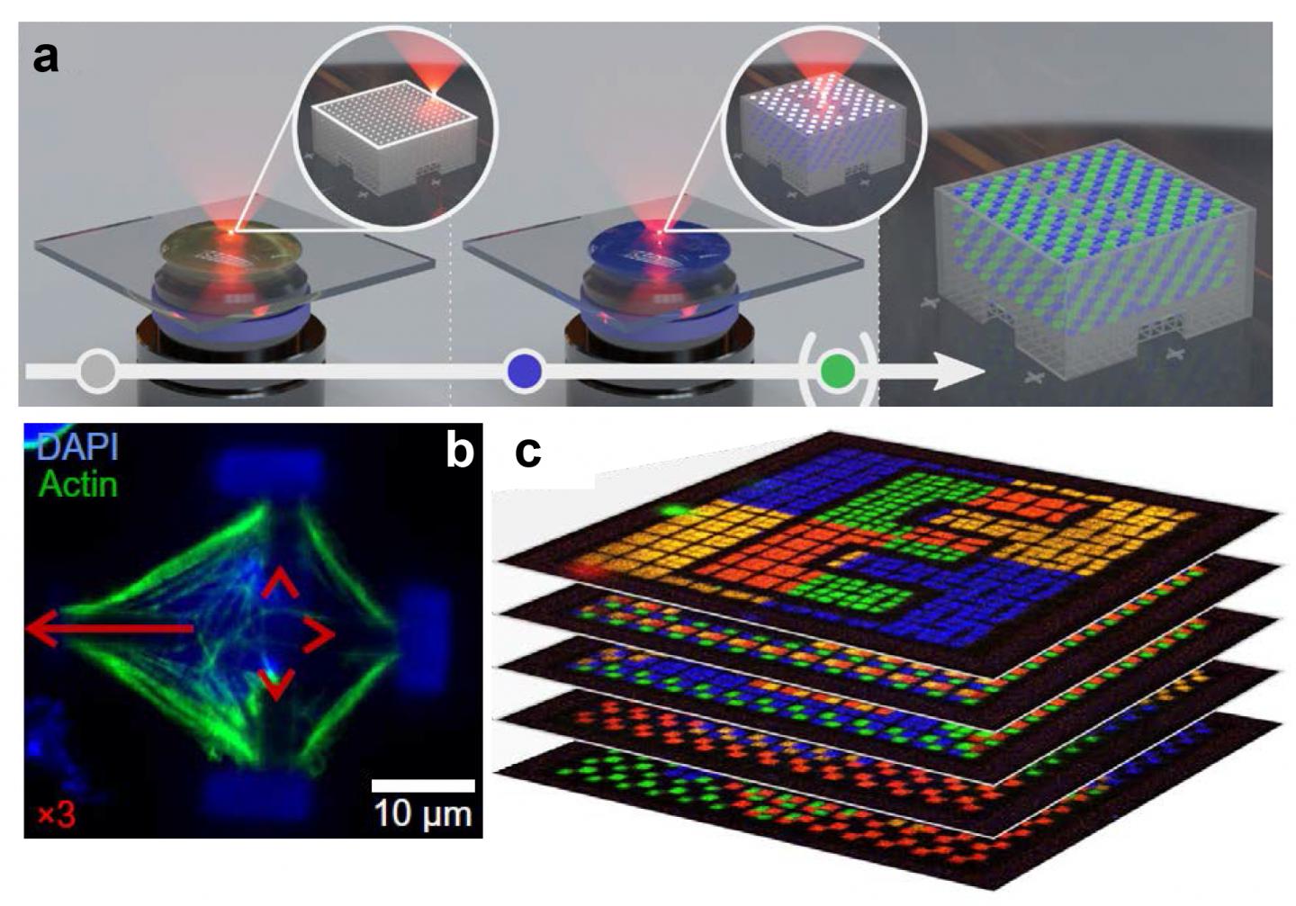 Figure |Multi-material multi-photon 3D laser micro- and nanoprinting.