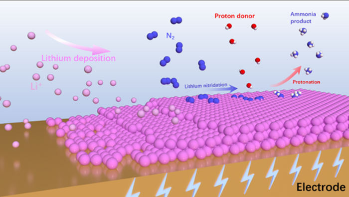 The catalytic mechanism of lithium-mediated N2 reduction reaction.