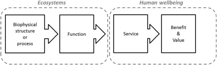 Relationship between Ecosystems and Human Well Being
