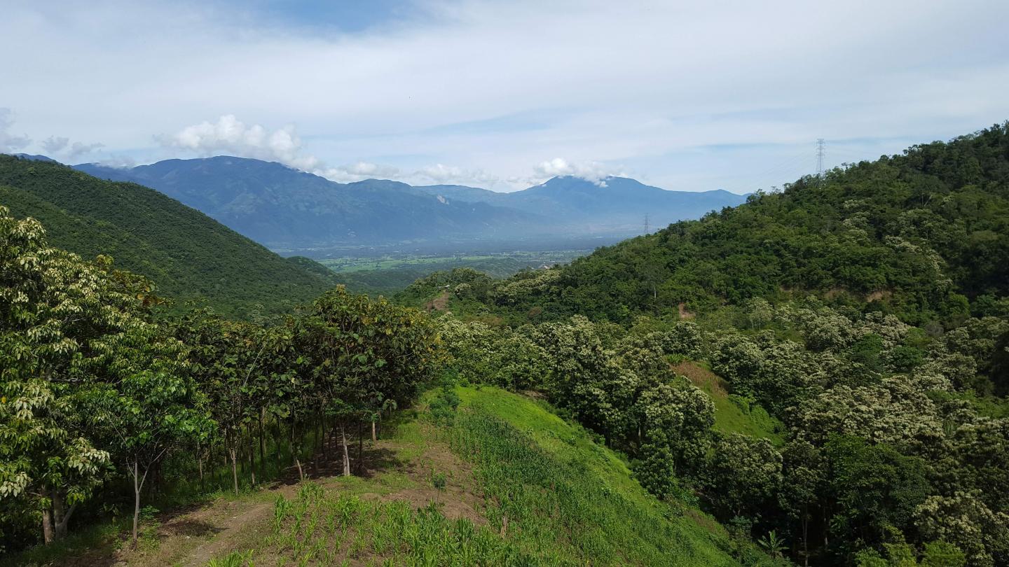 Landscape with mountains and sky in background - lush and green in foreground