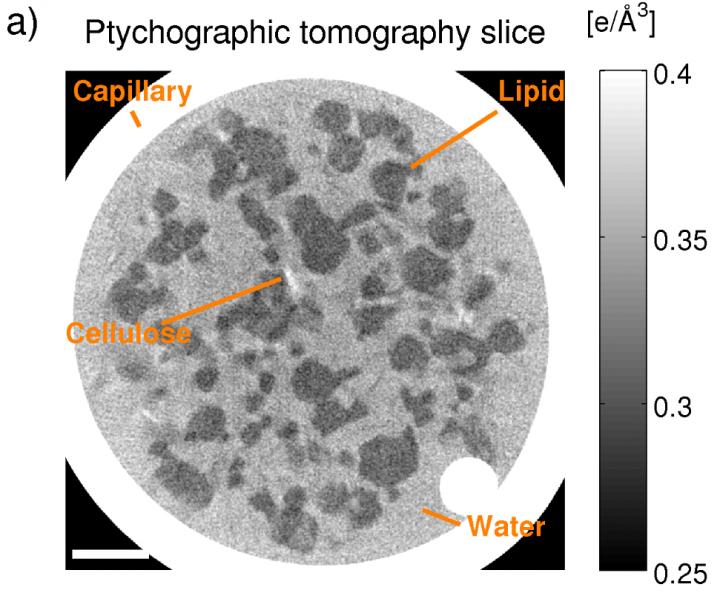 Greyscale Reveals Food Components