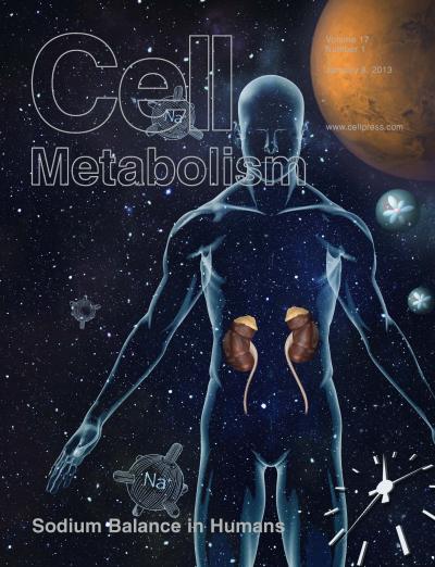 Space-Simulation Study Reveals Sodium Rhythms in the Body