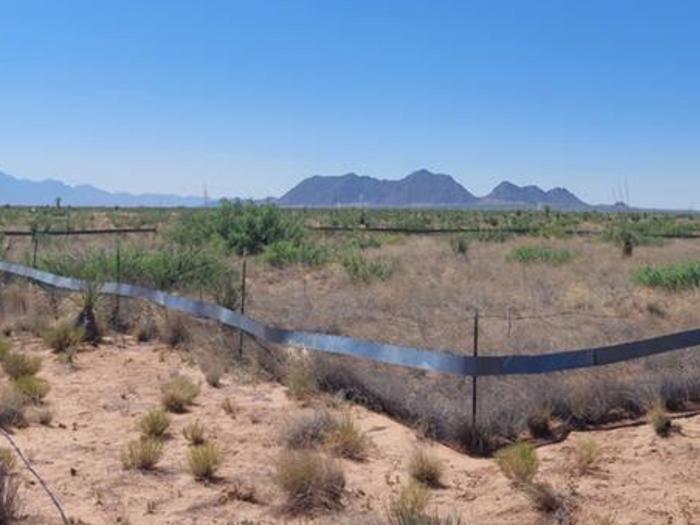 Long-Term Herbivore Exclosure in the Chihuahuan Desert