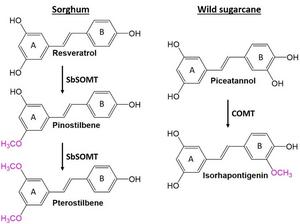 Fig01