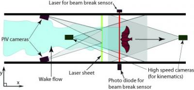 Experimental Setup (top view)