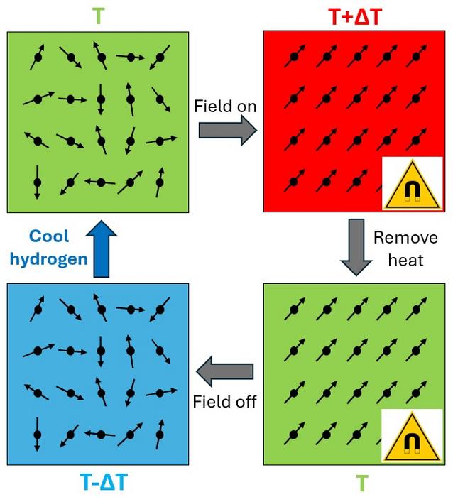 Schematic illustration of one magnetocaloric cooling cycle