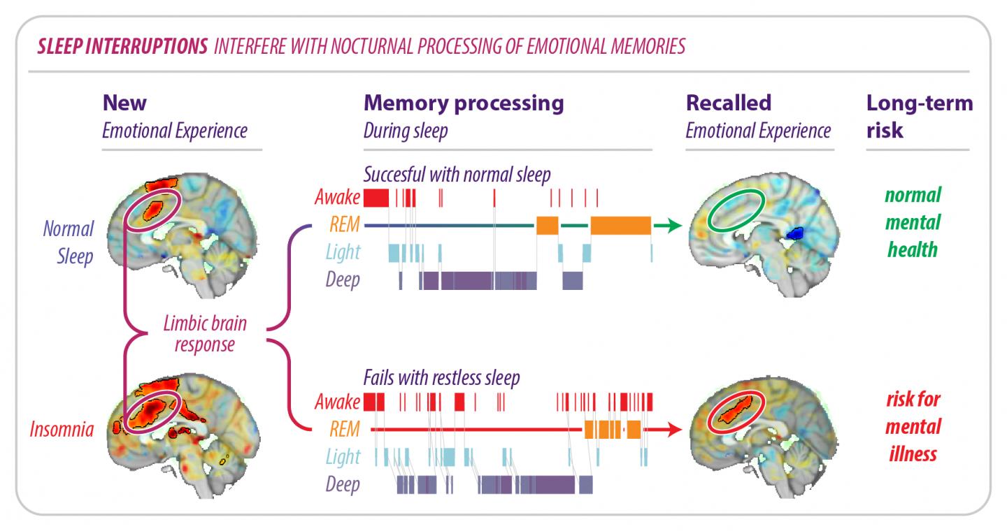 Sleep Interruptions Interfere with Nocturnal Processing of Emotional Memories