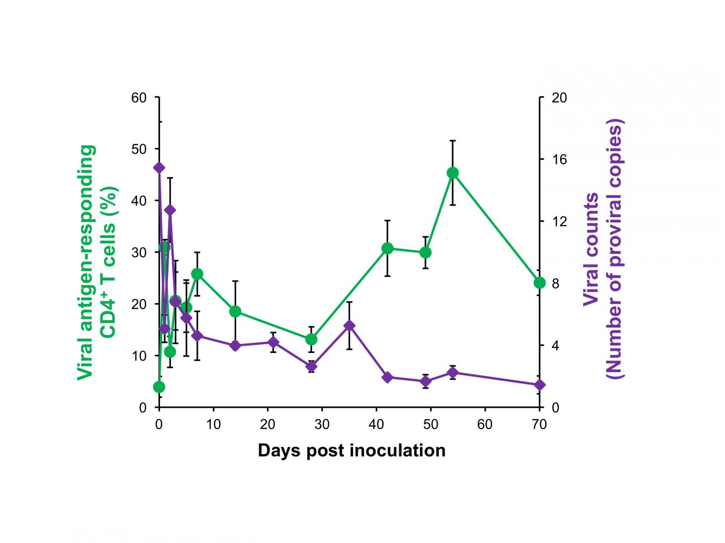 Viral Counts After Administering the Antigen
