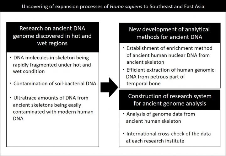 Figure 1. Outline of Research Background