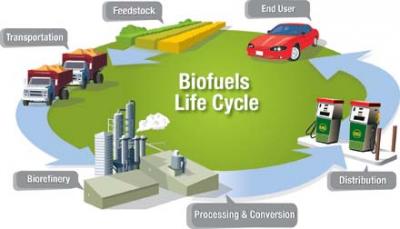 Biofuels Cycle