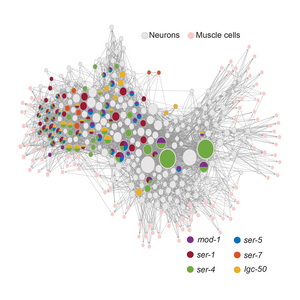 Receptor expression