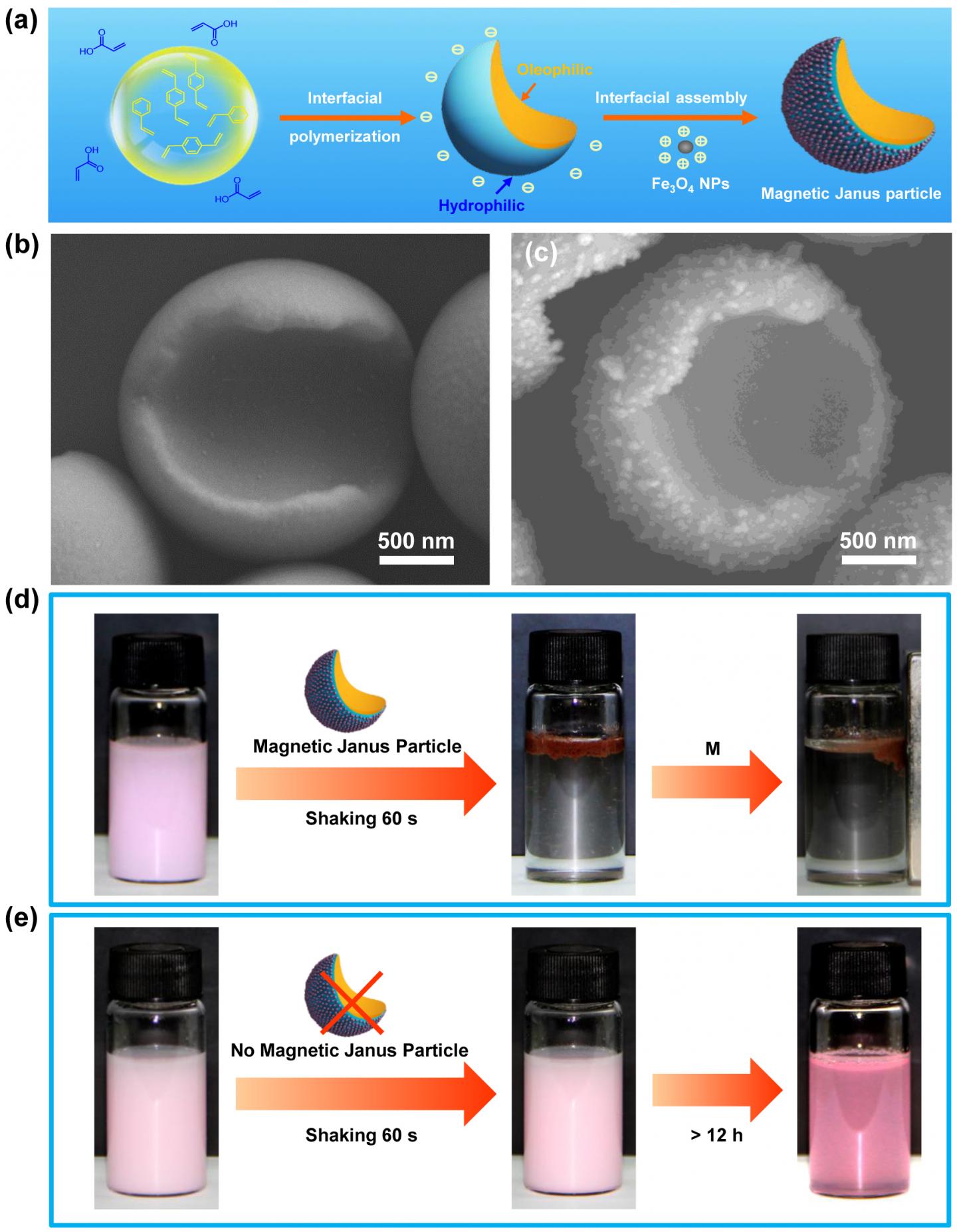 Hydrophilic/Oleophilic Magnetic Janus Particles