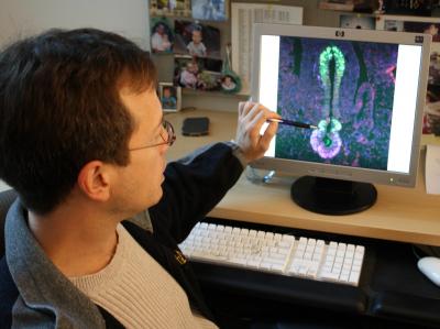 James Wells, Ph.D., Cincinnati Children's Hospital Medical Center