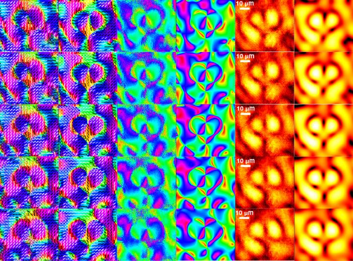 Polarization properties