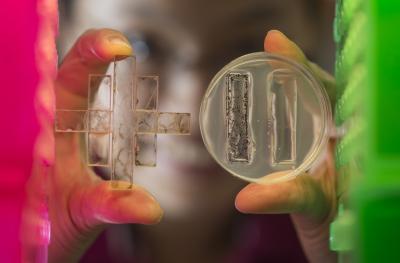 Biochar Chemical Signaling