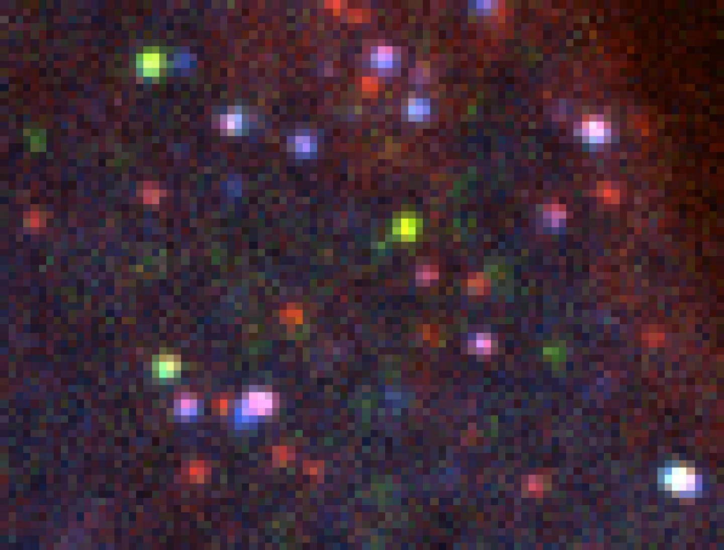Production of Different Proteins from the Same Genetic Code