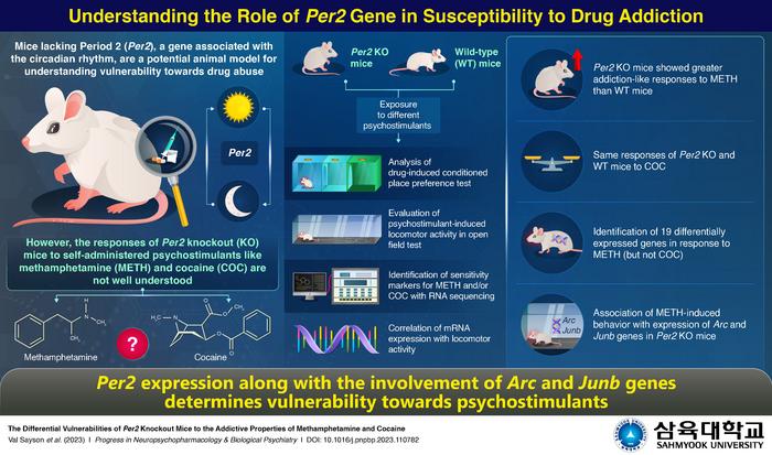 Association of Per2 with addictive responses to psychostimulants.