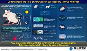 Association of Per2 with addictive responses to psychostimulants.