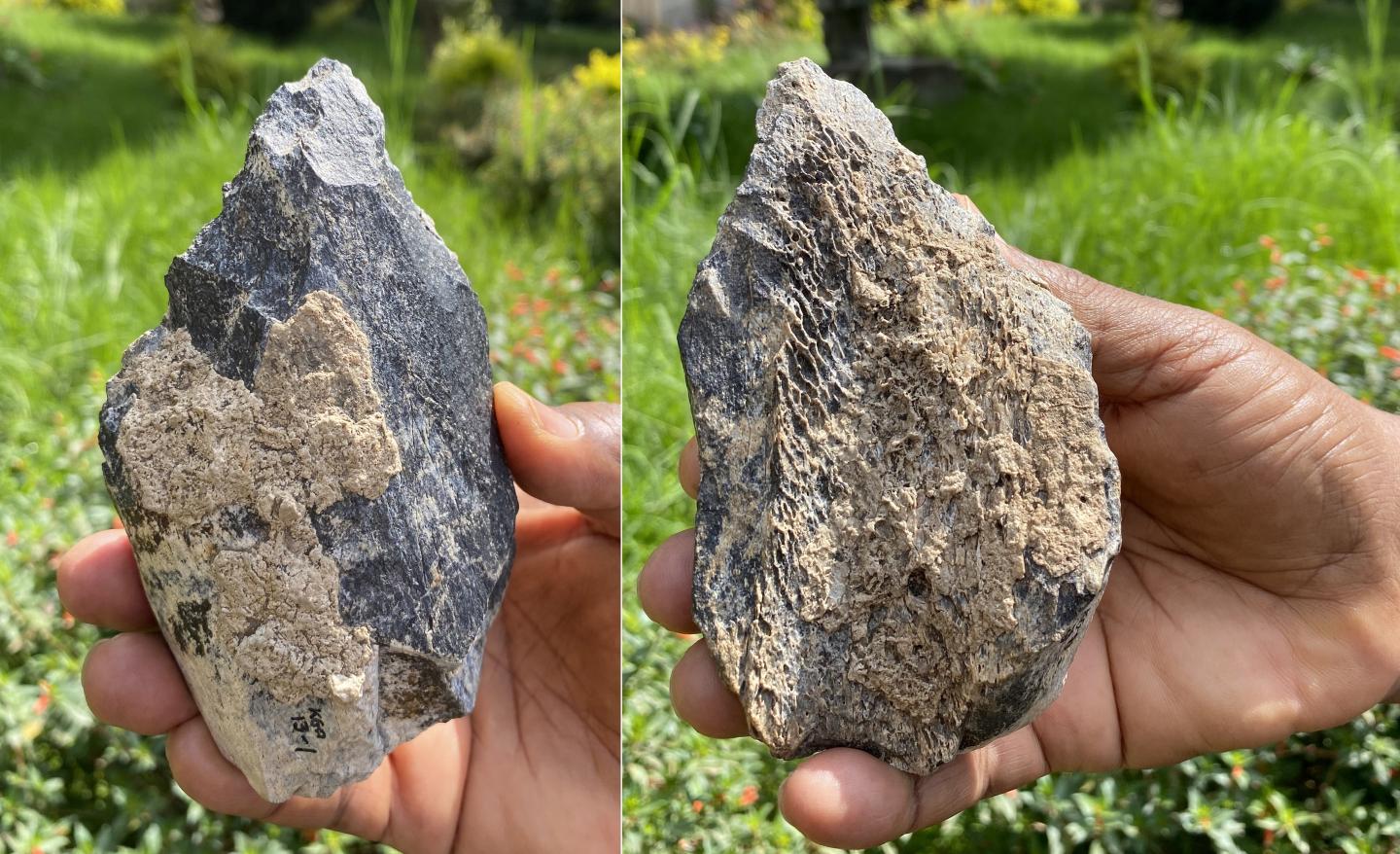 Both Sides of the 1.4 Million-Year-Old Bone Handaxe