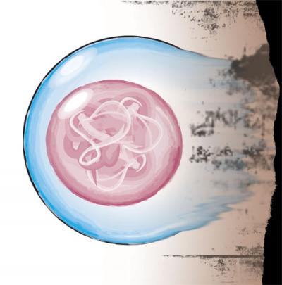 Aging Hematopoietic Stem Cells