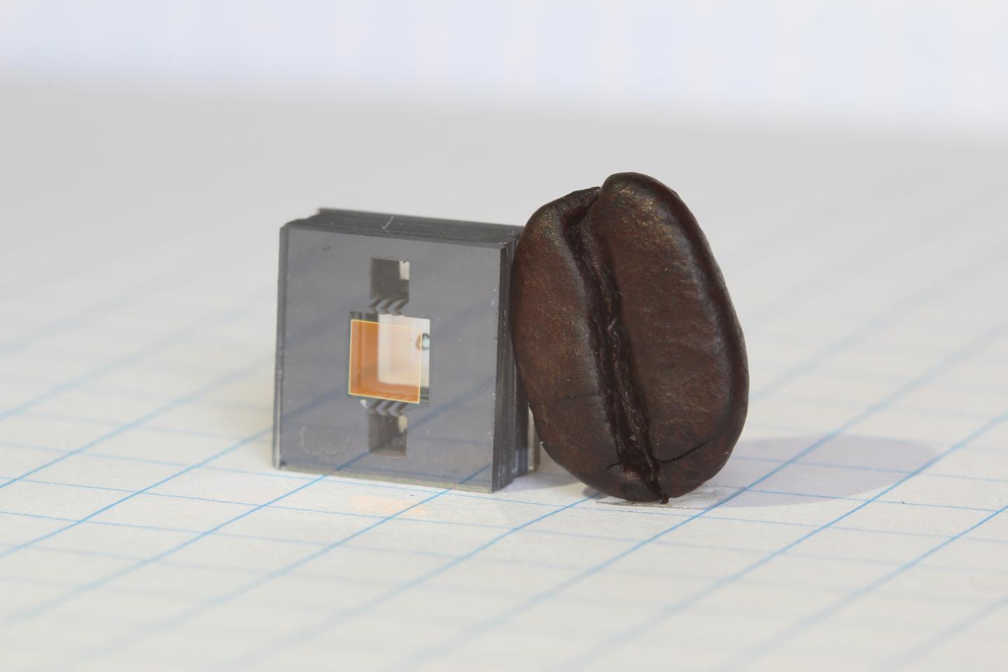 NIST Clock and Coffee Bean