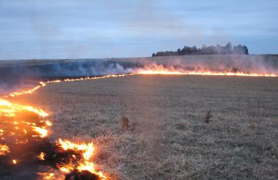 Prescribed Burn