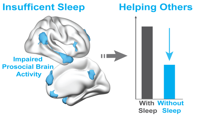 Lack of sleep impairs prosocial brain networks