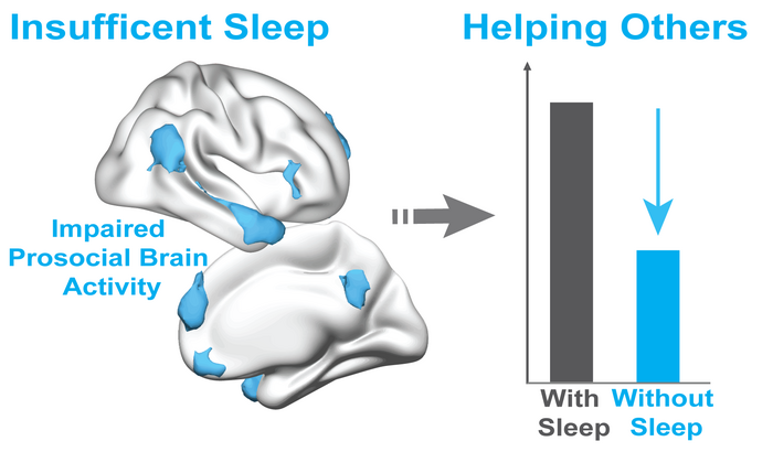 Sleepless and Selfish: Lack of Sleep Makes Us Less Generous