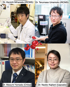 Winners of the 2022 Heisei Memorial Research Grant