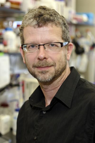 Thomas Weimbs, University of California - Santa Barbara 